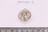 Gold split-ring