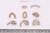 Gold split-ring