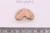 Spindle Whorl