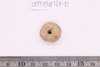 Spindle Whorl
