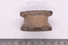 Sherd