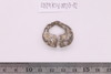 Gold split-ring