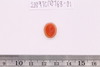Intaglio & Cameos