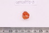 Pre-formed rough out Beads