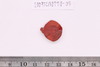 Beads fragment