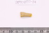Bangle fragment