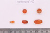 Pre-formed rough out Beads