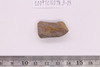Bangle fragment