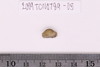 Gold glass Beads