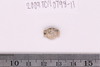 Faience Bead