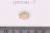 Faience Bead