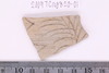 Sherd