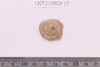 Sherd
