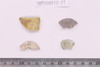 Bangle fragment