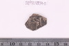Sherd