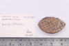 Mixed object in packaging