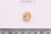 Beads fragment