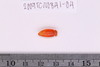 Pre-formed rough out Beads