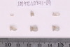 Beads fragment