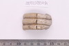Sherd