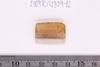 Pre-formed rough out Beads