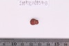 Beads fragment