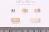 Pre-formed rough out Beads