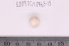 Pre-formed rough out Beads