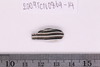 Beads fragment