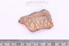 Sherd