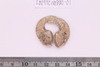 Gold split-ring