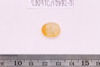 Intaglio & Cameos