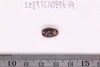 Pre-formed rough out Beads