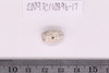 Pre-formed rough out Beads