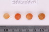 Pre-formed rough out Beads