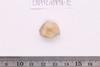 Material fragment