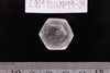 Pre-formed rough out Beads
