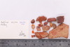 Fragments