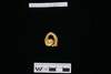 Gold split-ring