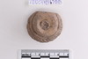 Spindle Whorl