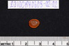 Intaglio & Cameos