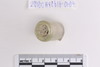 Beads fragment
