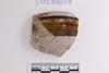 Sherd