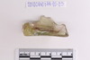 Piece of Glass glass vessels