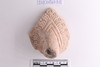Sherd
