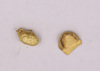 Gold nugget