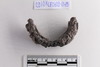Bangle fragment