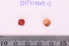 Pre-formed rough out Beads