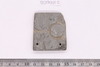 Stone mold