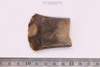 Stone Ax